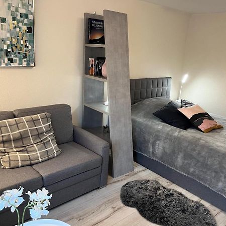 Alice Apartment Wackernheim Ingelheim am Rhein Buitenkant foto