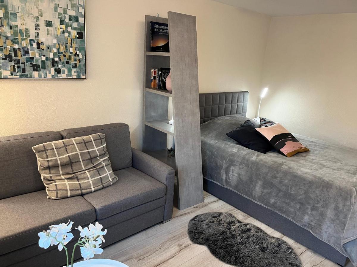 Alice Apartment Wackernheim Ingelheim am Rhein Buitenkant foto