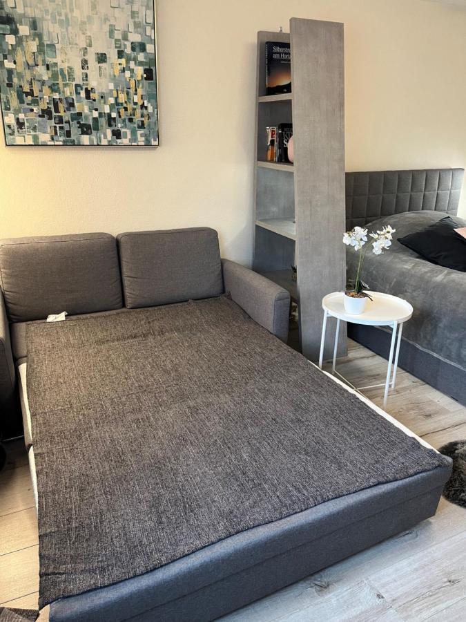 Alice Apartment Wackernheim Ingelheim am Rhein Buitenkant foto